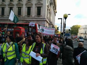 1450212_574252509309021_243332757_n