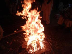 1452321_697639906913351_1070389536_n