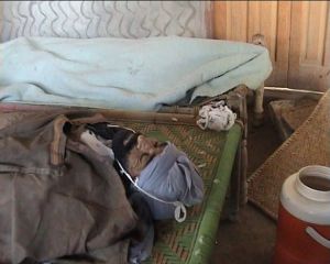 562006_1446571178899875_1242495798_n