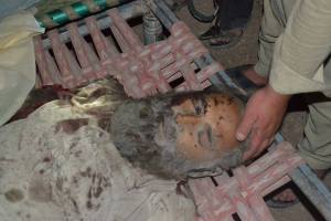 10173813_581311615299427_5695181161296845910_n