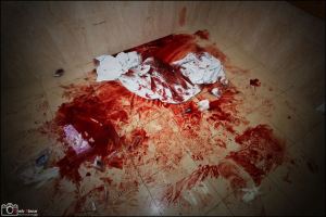 10565052_10201303168901065_4548131946570492506_n