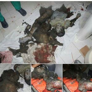 10271623_10203599745585455_4515856164979619454_n