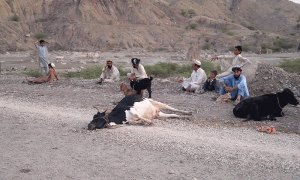 10395169_10152276409098740_1288761057175721692_n