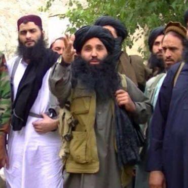 10881700_608279465984816_4475286739002150354_n