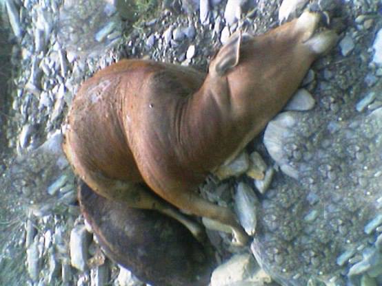 10471138_916730428360012_2466686044436874152_n