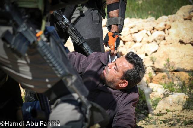 1545963_1544627075807664_7749689718065928494_n