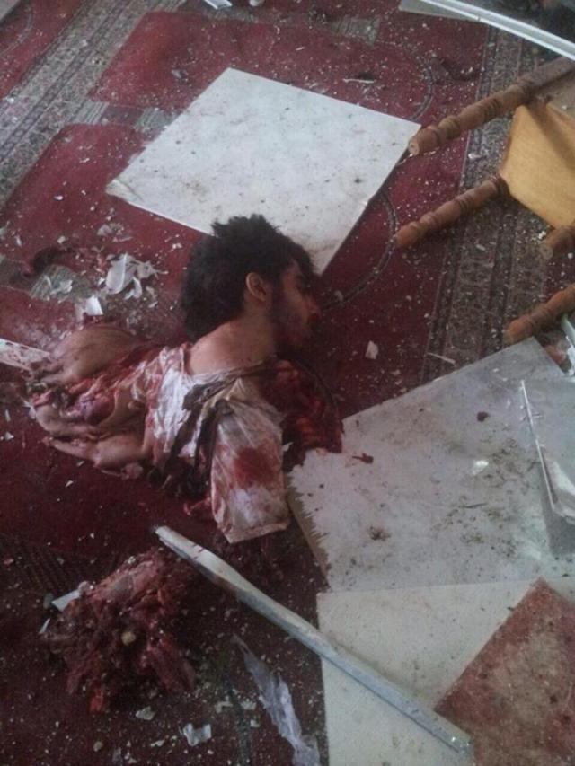 19619_10153007460273740_6664572853353410969_n