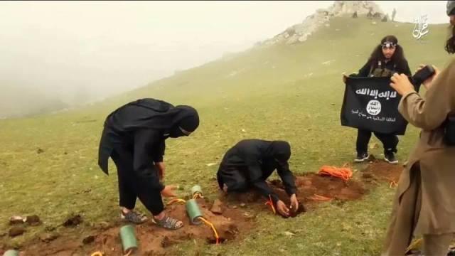 11831767_668591066609327_6023435839004863882_n