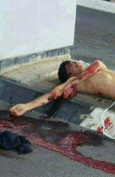 10294308_10154324428855760_8054138082847713924_n