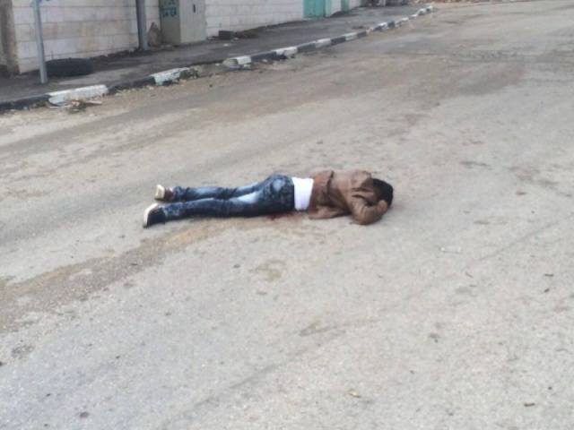 12049531_10154328193855760_3187890722408302520_n