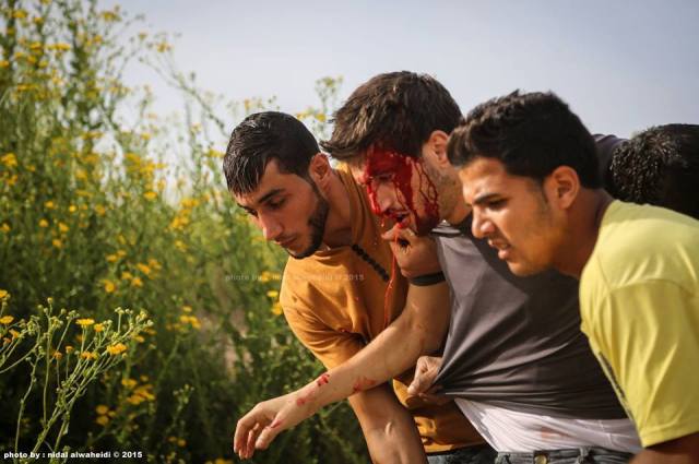 12065735_10154324298405760_5765488620586207568_n