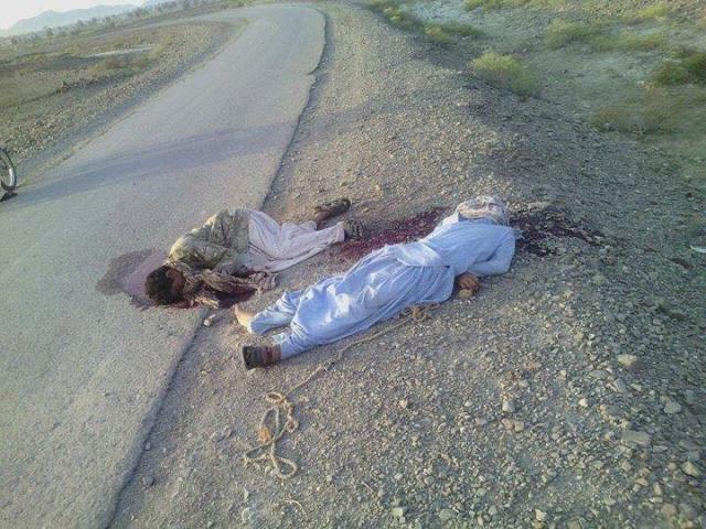 12096354_887951614627692_6265850324381198766_n