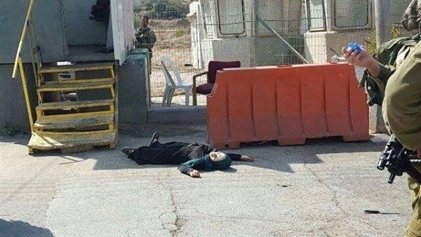 12107791_10154313922140760_7697099901669836851_n