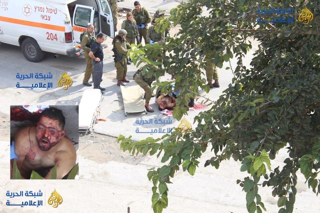 12187828_10154328194230760_3774589304325533412_n