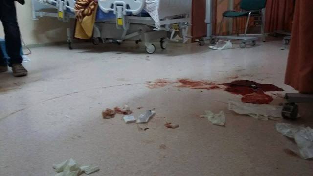 12219459_10154363874215760_2913078054731018173_n