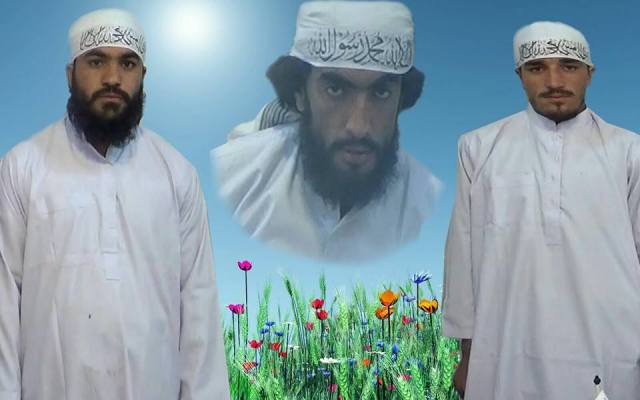 12341105_172222919797648_7089915620010560959_n