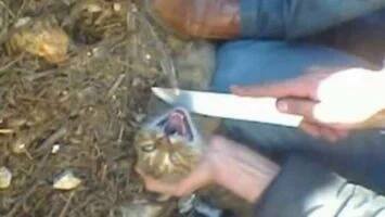 11048690_784966384940769_4814621859736429755_n