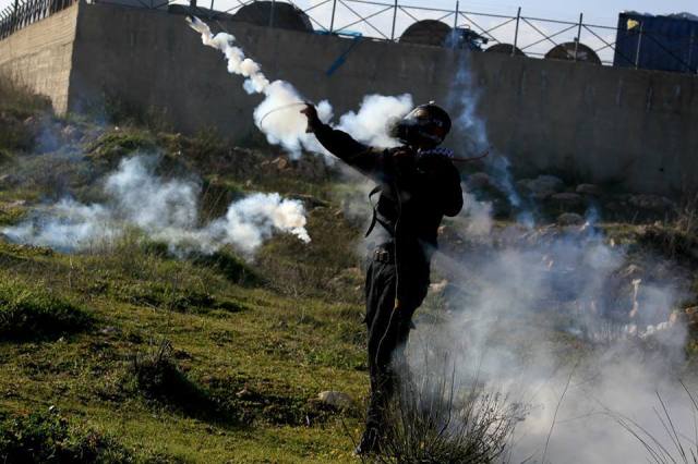 12509635_10154570306995760_1365494302943318232_n