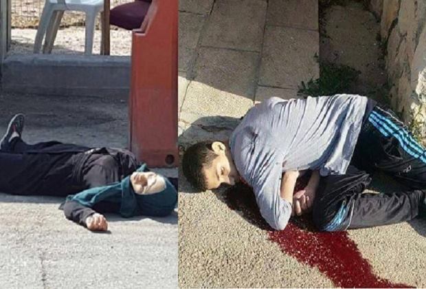 12651158_10154580131605760_3907651424054546679_n