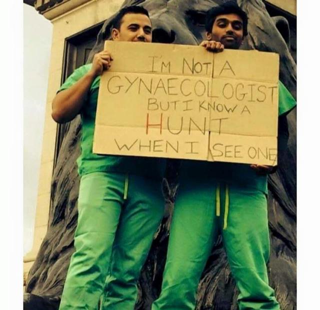 12742368_1149328915077625_6724565031892016314_n