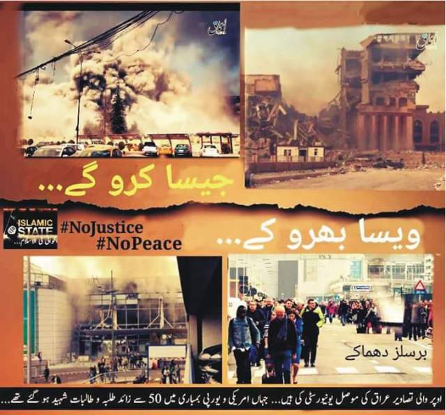 6151_1082677451775120_2869986043496024770_n