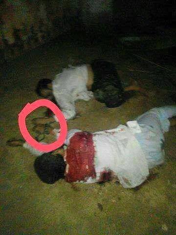 12935449_242185196129040_3527656_n