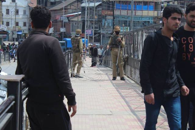 12990844_1263866780309551_3700760329020604890_n