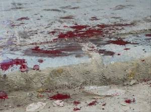 13015663_637093756441724_4495540199496630815_n